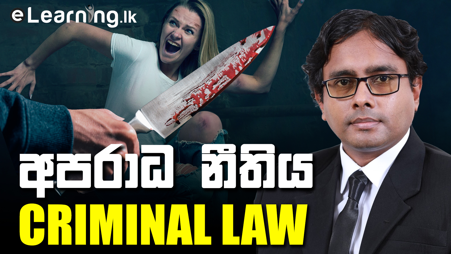 Criminal Law in Sinhala අපරාධ නීතිය සිංහලෙන් (Yalith Wijesurendra