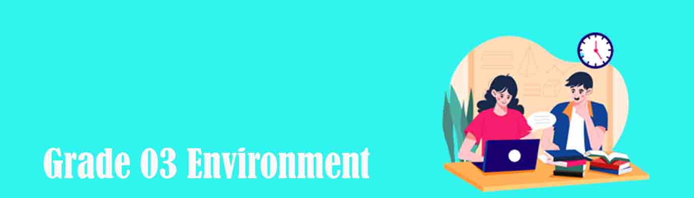 Let's learn Environment in Grade 03 | 3 වසර පරිසරය